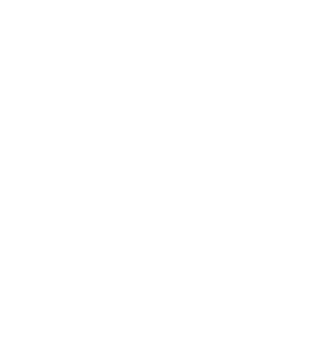 LOGO BRANCO SITE.png